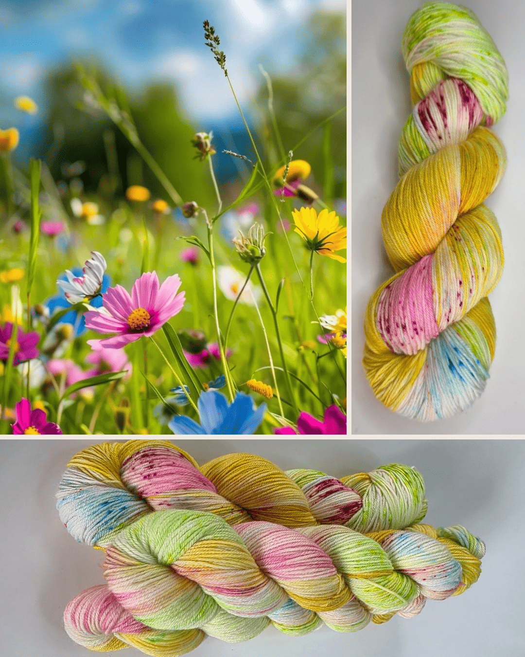 Laine coloris " Prairie Fleurie "