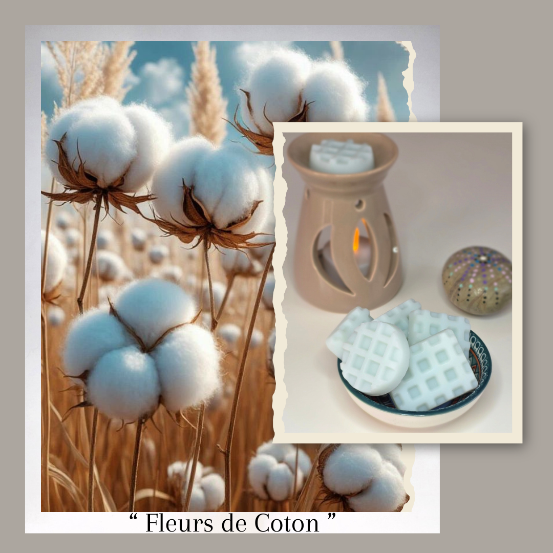 Nouveauté - Fondant parfumé senteur : Fleurs de Coton