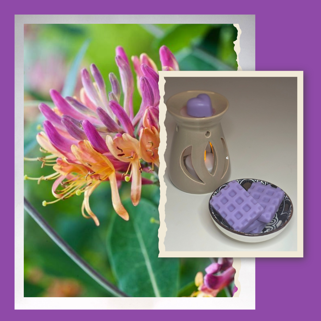 Fondant Parfumé senteur: Chèvrefeuille du Japon