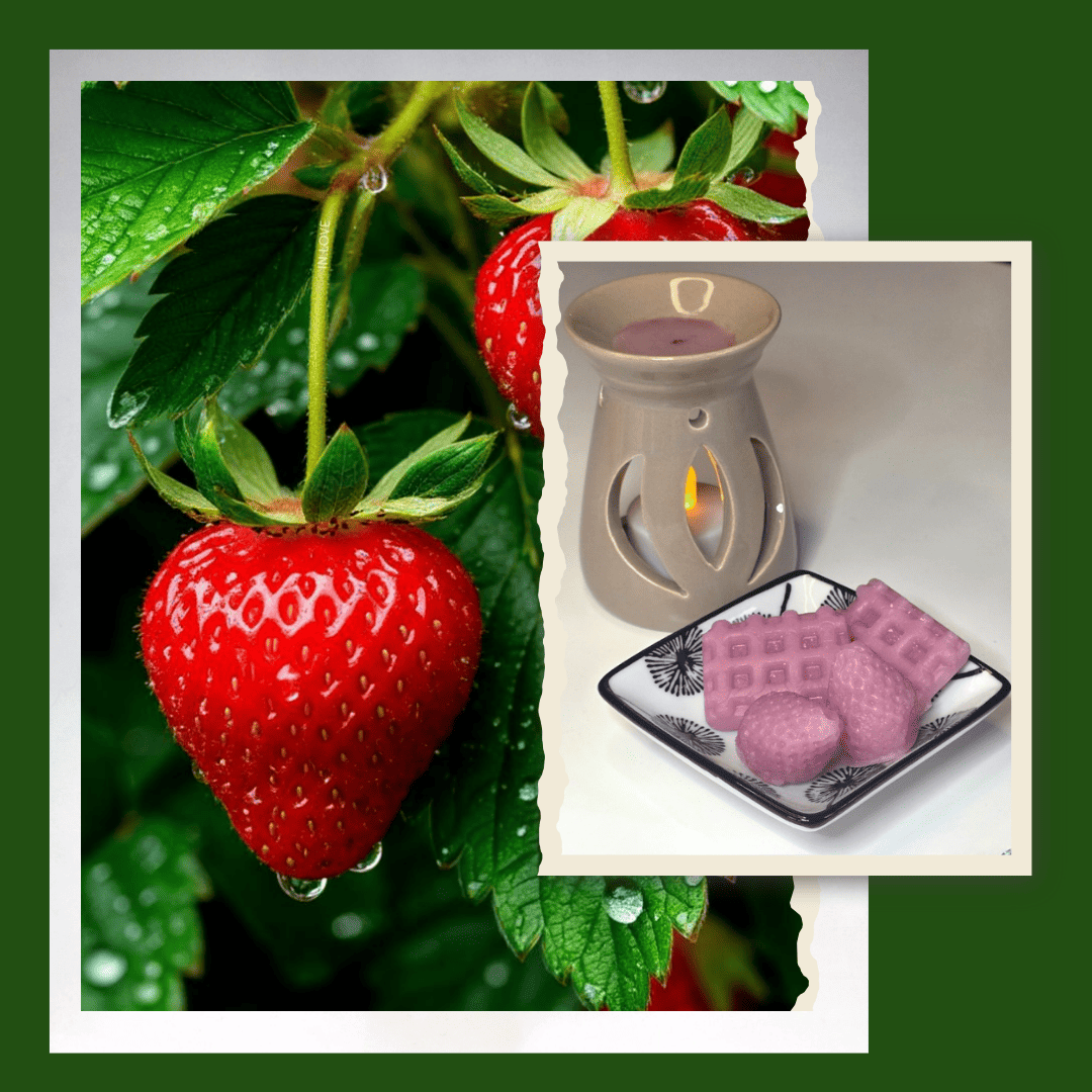 fondants parfumes senteur fraise izanlaine