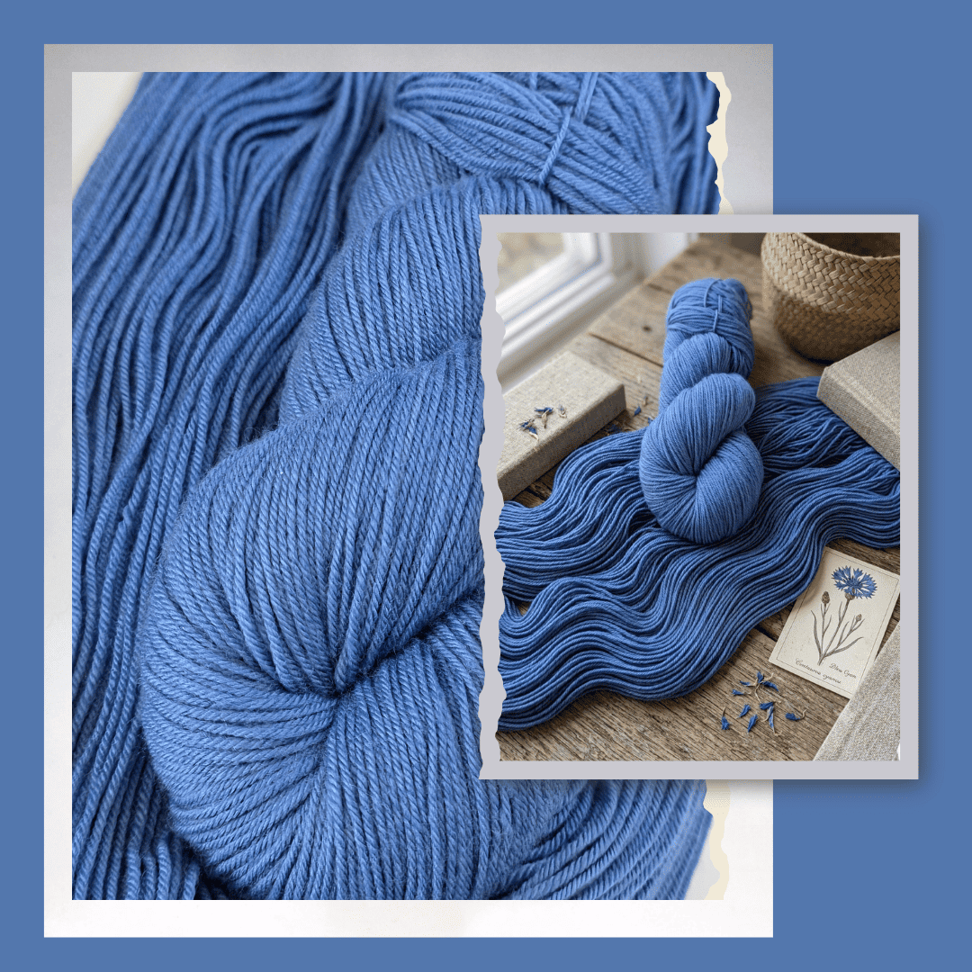 Bleuet des Druides
