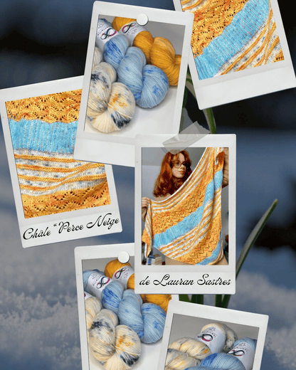 Kit Châle "Perce Neige" de Laurane Sastres collaboration