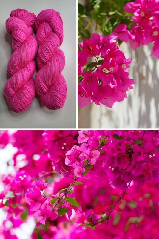 "Bougainvillier"