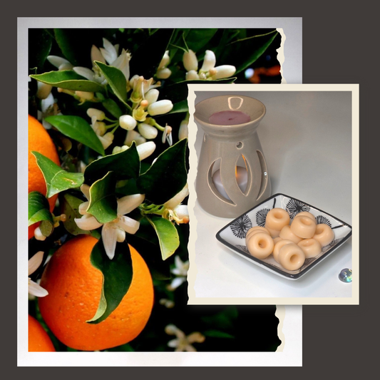 Fondant parfumé senteur:  Fleurs d'Oranger