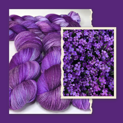 " Malva "