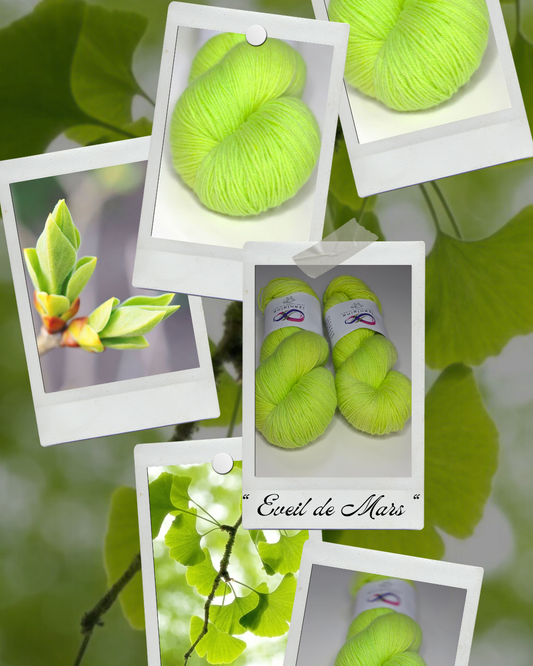 laine à chaussette fingering mérinos nylon teinte à la main couleur eveil de mars