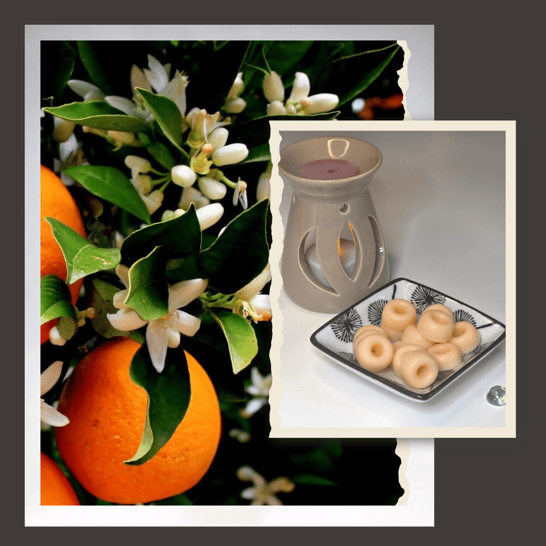 fondants parfumes senteur fleurs d'oranger