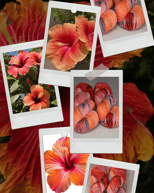 Laine teinte à la main izanlaine teinturière indépendante coloris hibiscus