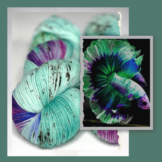 laine teinte à la main fingering mérinos nylon couleur bettas splendens 